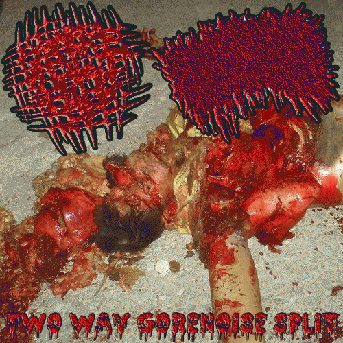 Gastric Fluid : Two Way Gorenoise Split